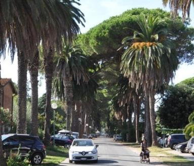Ponte sul fosso dei Molini i residenti puntano i piedi 