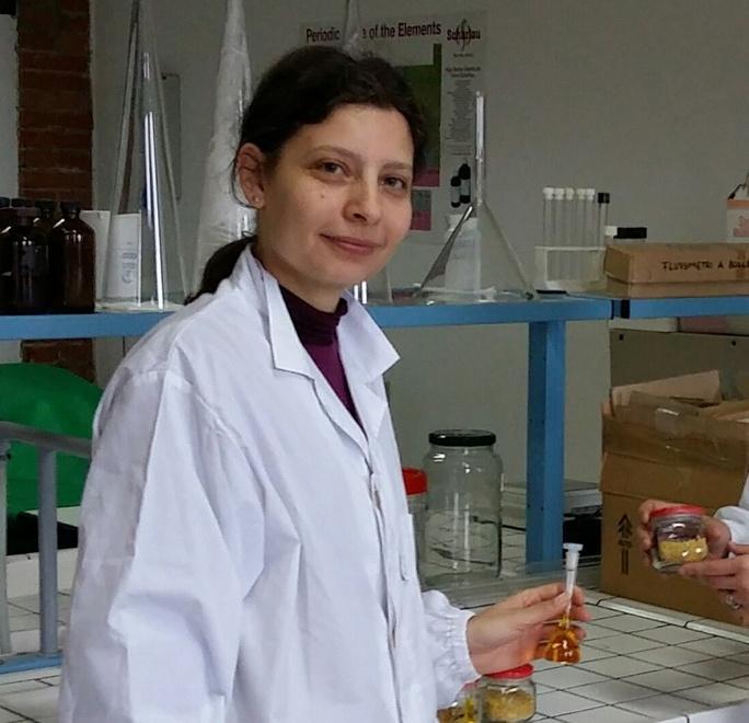 Marmitte catalitiche da Cecina un sistema per estrarre i metalli 