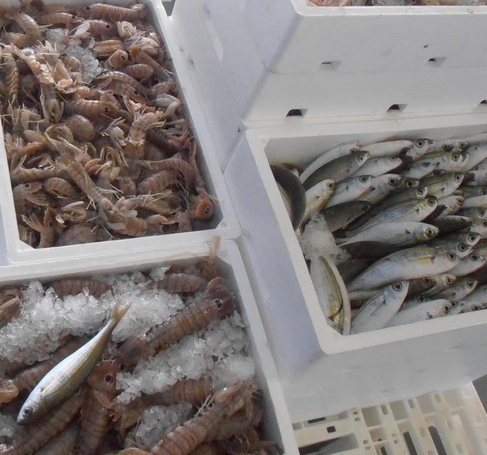 In arrivo un possibile blocco della pesca 