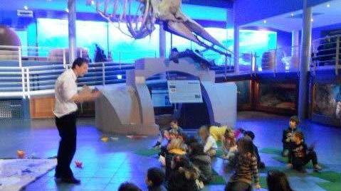 La festa di compleanno a Livorno si festeggia all'acquario, in libreria oppure dal parrucchiere