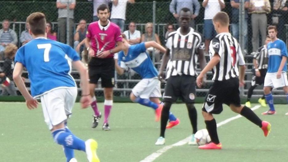 Anche le zebrette in mezzo alla crisi