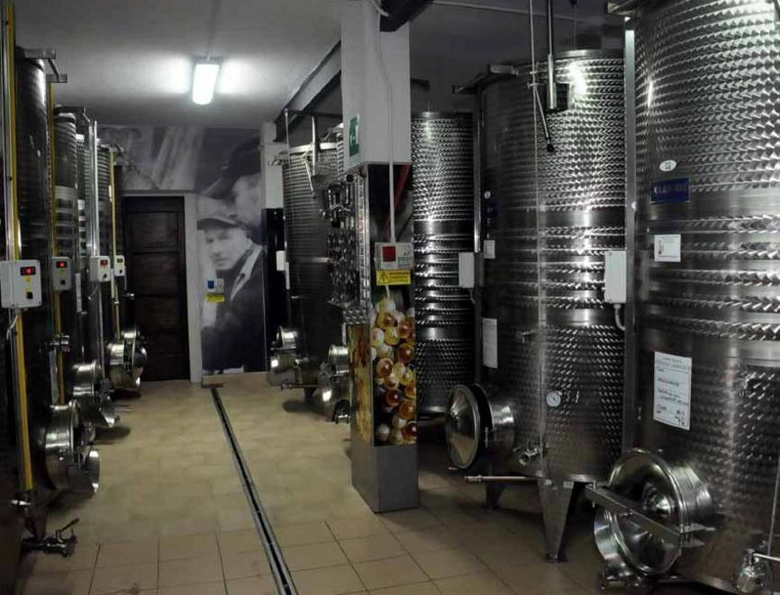 Lambruschi, vino di qualità da tre generazioni 