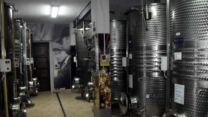 Lambruschi, vino di qualità da tre generazioni