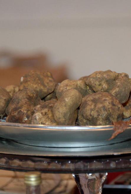 Tartufo, fondi in arrivo