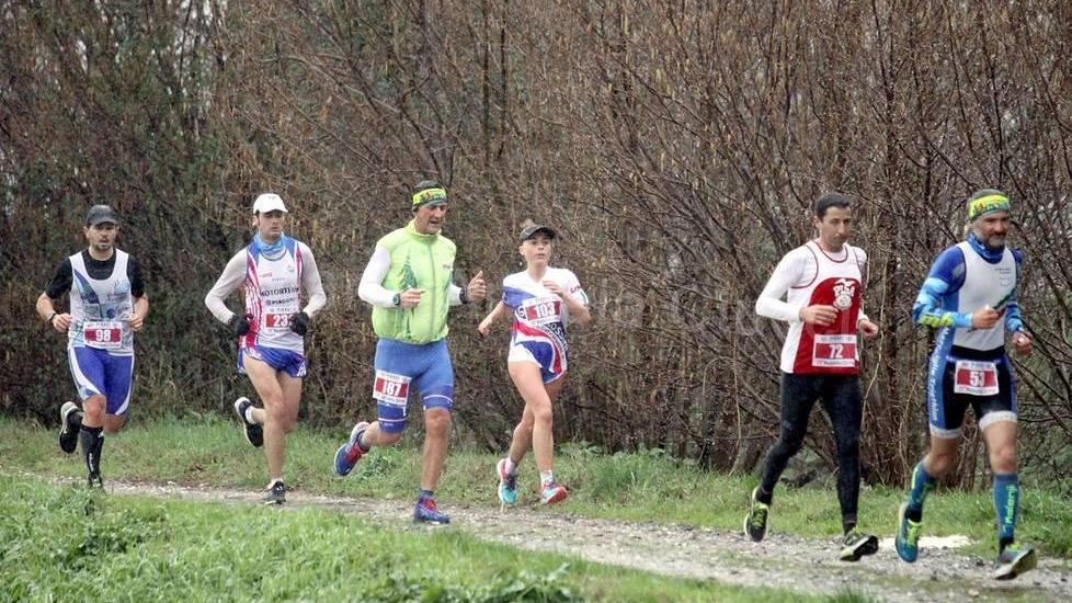 Ippica, una maiden in onore dei Cavalieri di Santo Stefano