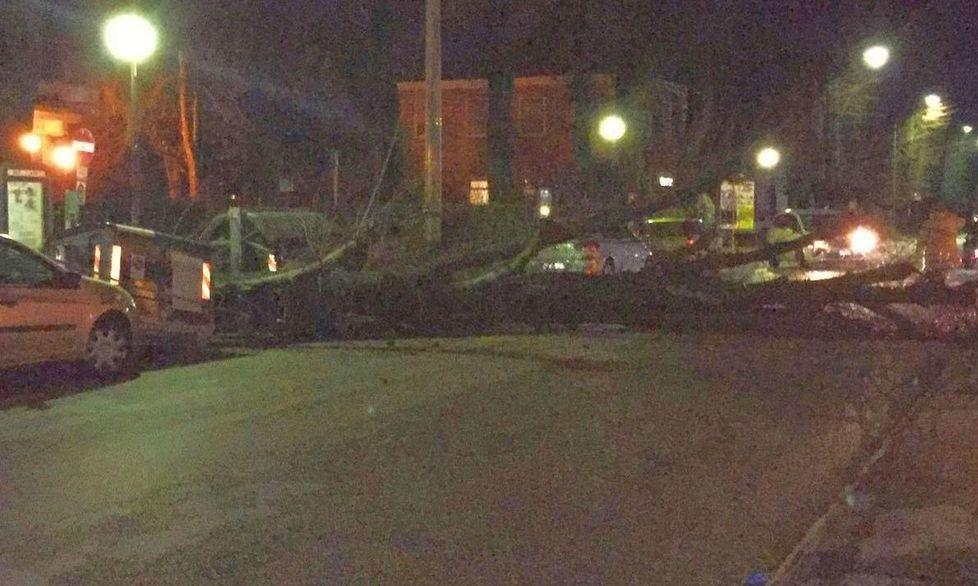 Paura a Sant’Agostino, albero cade sulla strada
