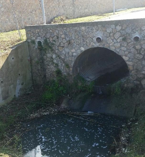 Un canale porta i liquami nel mare 