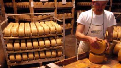 Unione dei Fenici, progetti di sviluppo