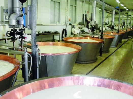 Parmigiano Reggiano, crollo dei prezzi: la filiera trema 
