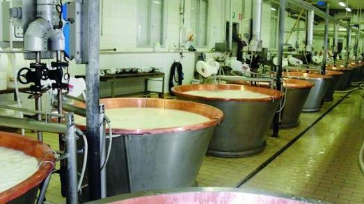 Parmigiano Reggiano, crollo dei prezzi: la filiera trema