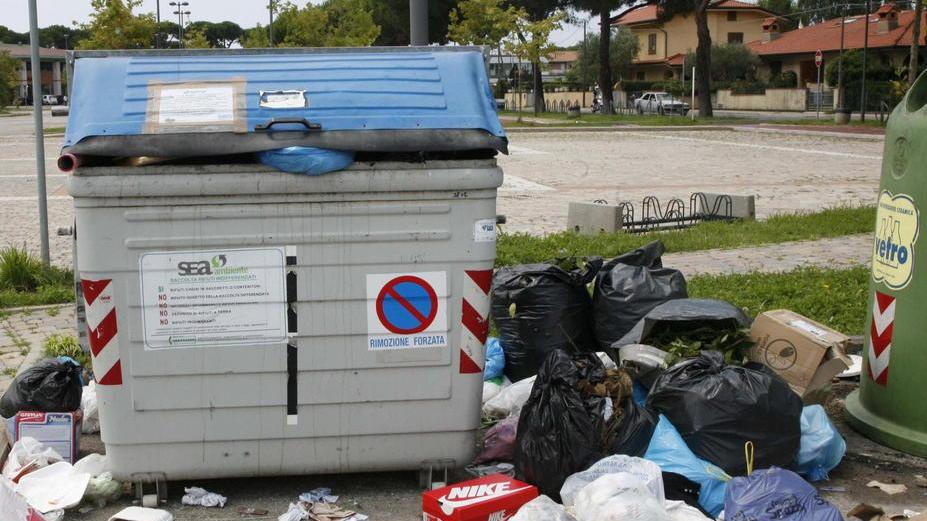 Rifiuti in un cassonetto a Lido di Camaiore