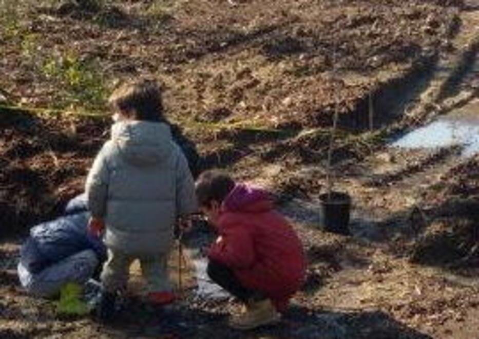 I bimbi piantano gli alberelli donati dal Corpo Forestale