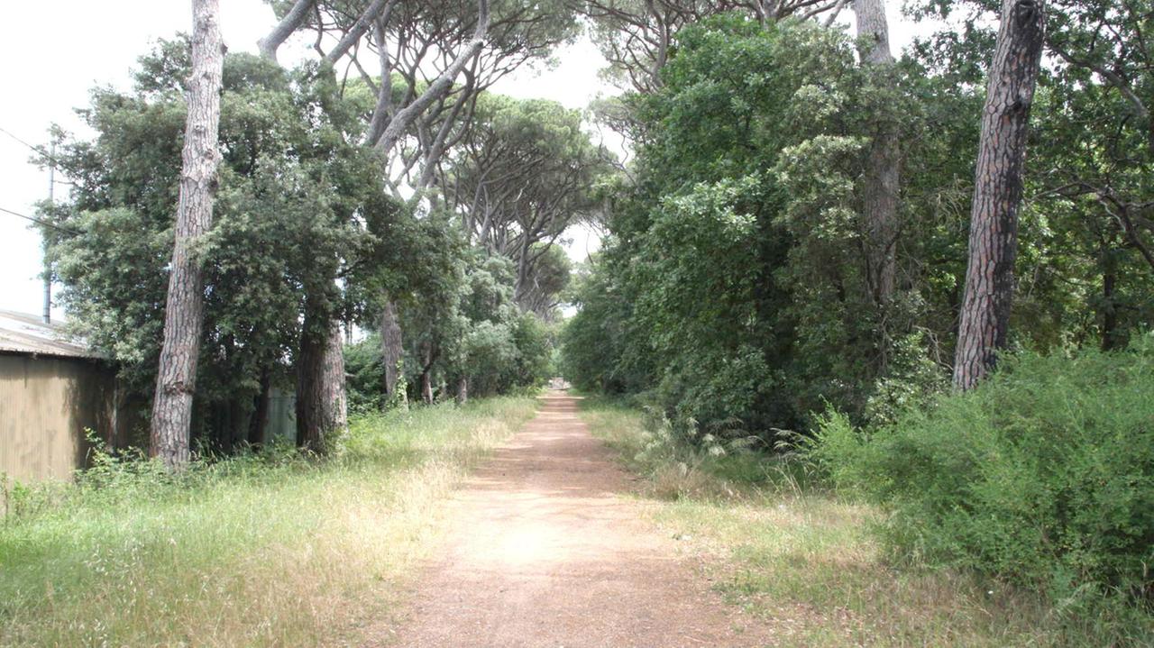 Uno scorcio del parco del Cisternino