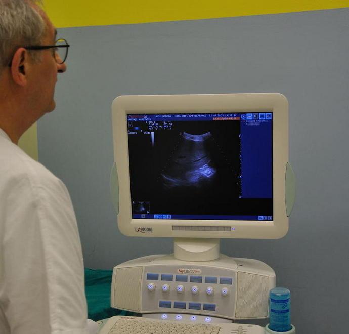 Ospedali modenesi, esami oscurati dal garante «Assurdo e pericoloso» 