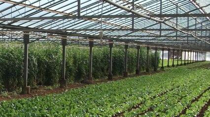 La terra, una risorsa da difendere