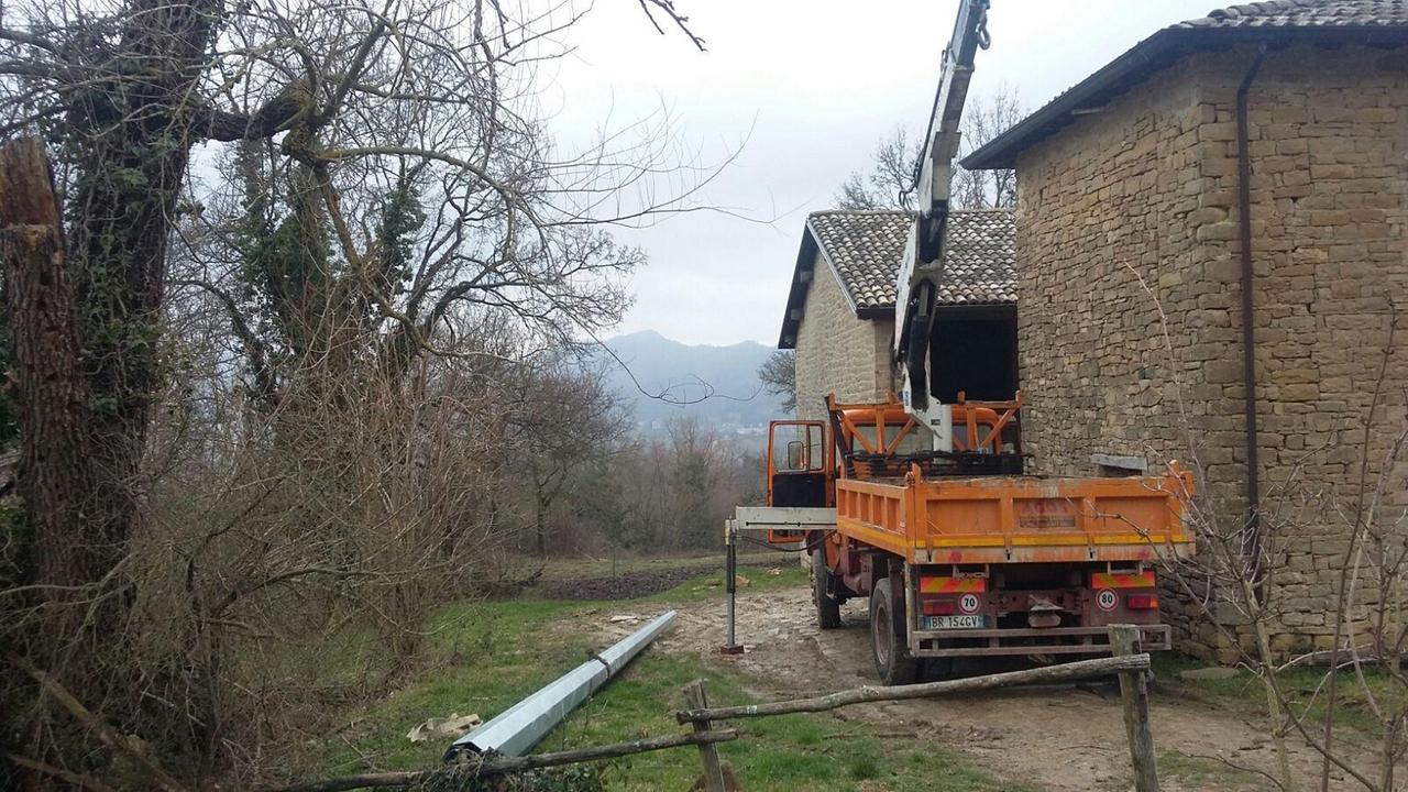 Infortunio sul lavoro a Carpineti, operaio centrato alla testa da un ramo
