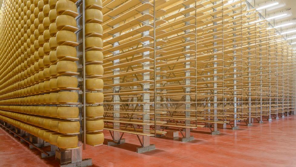Prestito da 6 milioni assicurato dal casaro con ventimila forme 