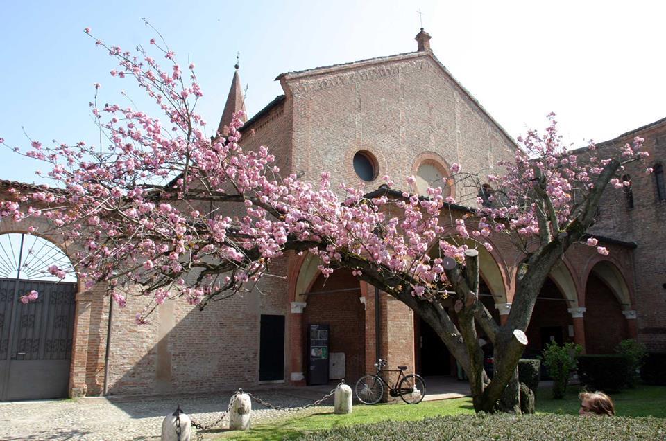 Il ciliegio di Sant'Antonio in Polesine