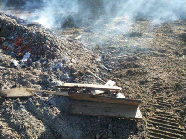 L'area dove venivano bruciati i rifiuti (Foto Arpat)