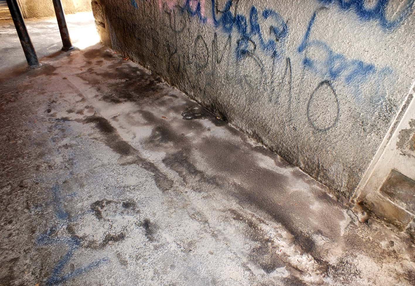 Via Borgo alla Noce, piena di macchie e sporcizia (foto Paolo Barlettani)