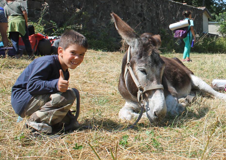 Campi estivi con i somarelli all’ostello di Legambiente 