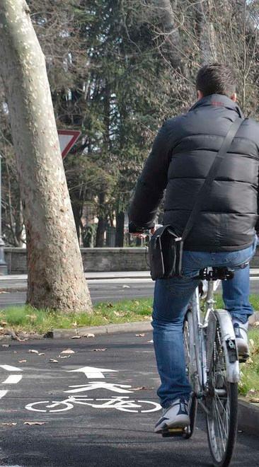 La ciclabile... sbatte contro l’albero