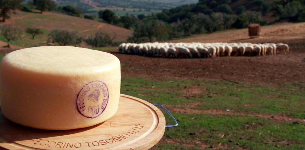 Pecorino, vino e prodotti tipici: una task force a difesa del Doc e dell'Igp 