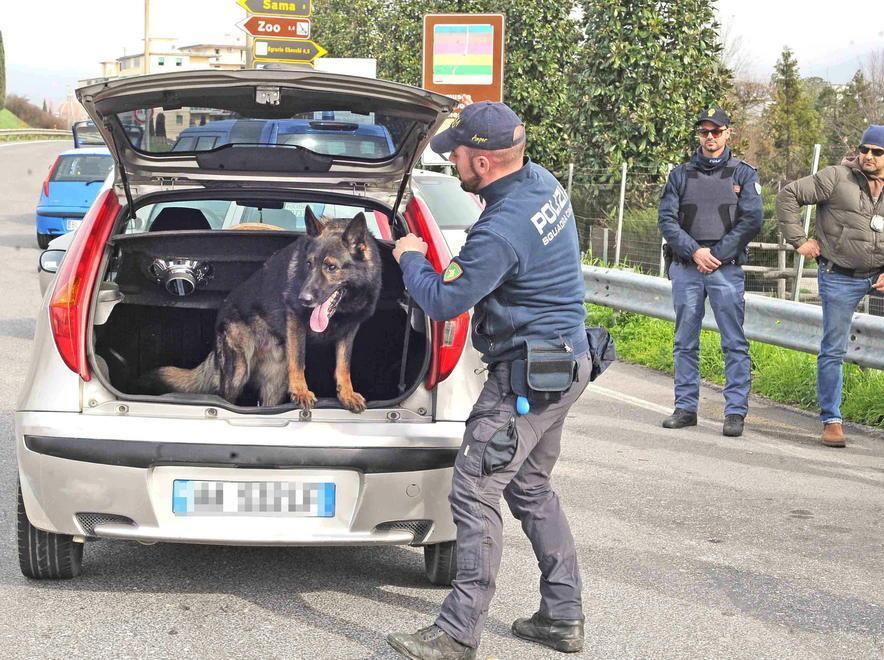Anticrimine, controlli a tappeto 