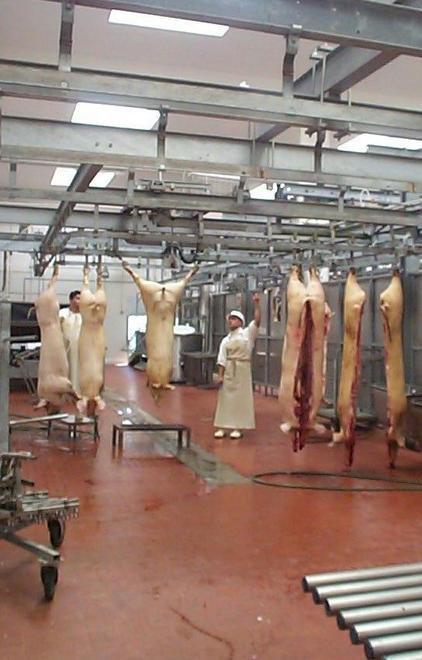 Per il mattatoio si cambia sistema 