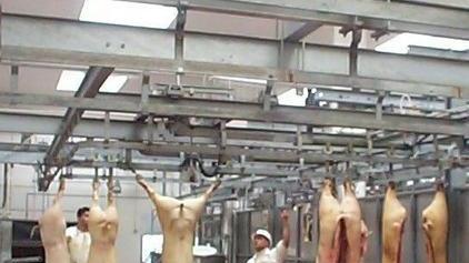 Per il mattatoio si cambia sistema