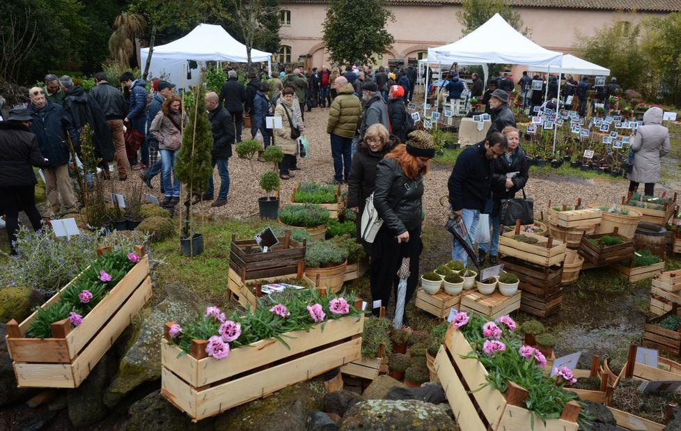 Il paesaggio agricolo come risorsa 
