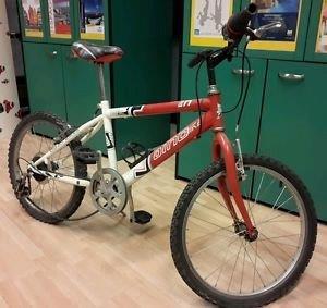 Una bicicletta come quella rubata
