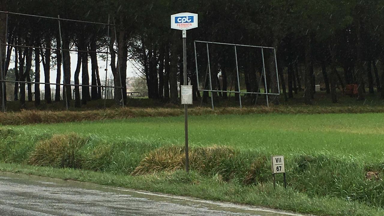Fermate dei bus senza protezioni e invase dall’erba