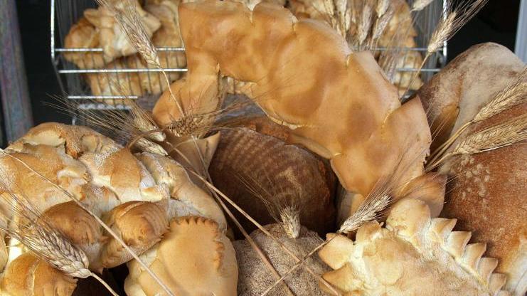 Nei pani antichi della Sardegna un aiuto contro il diabete