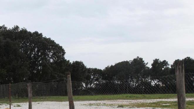 Tre le parole d’ordine del progetto di Ceragioli: spettacolo, mare, sport