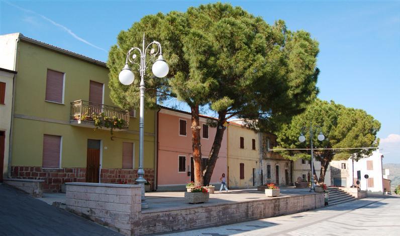 Raccolta di foto e video sugli anni del Novecento