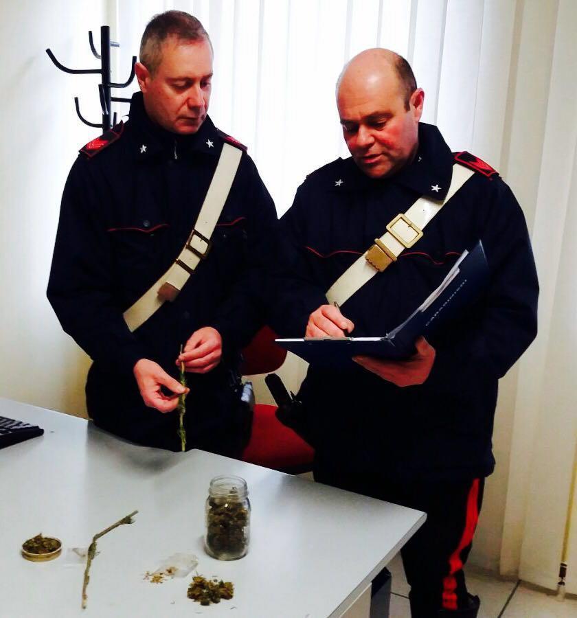 La droga sequestrata dai carabinieri