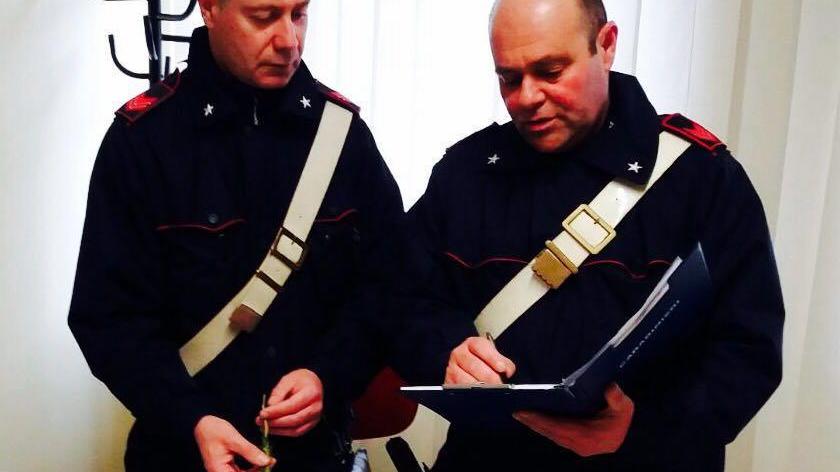 La droga sequestrata dai carabinieri