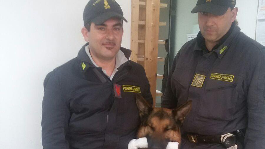 I finanzieri con uno dei cani antidroga del reaprto