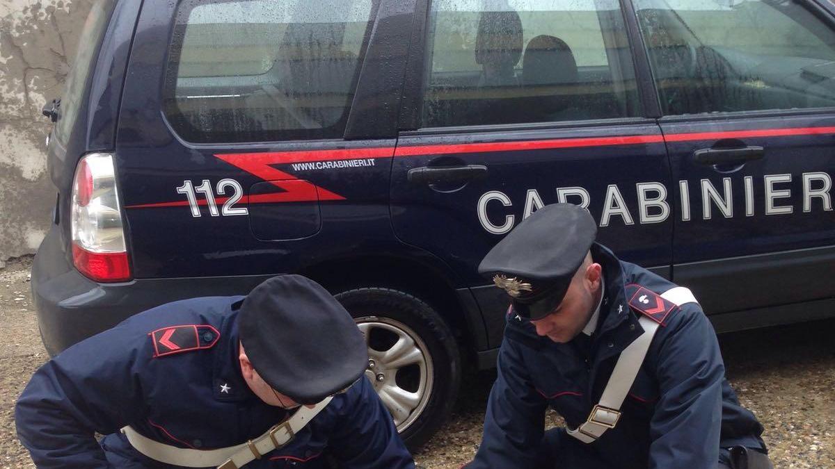 I cagnolini salvati dai carabinieri
