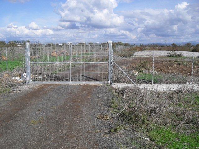 Il cane era stato abbandonato davanti a questo cancello