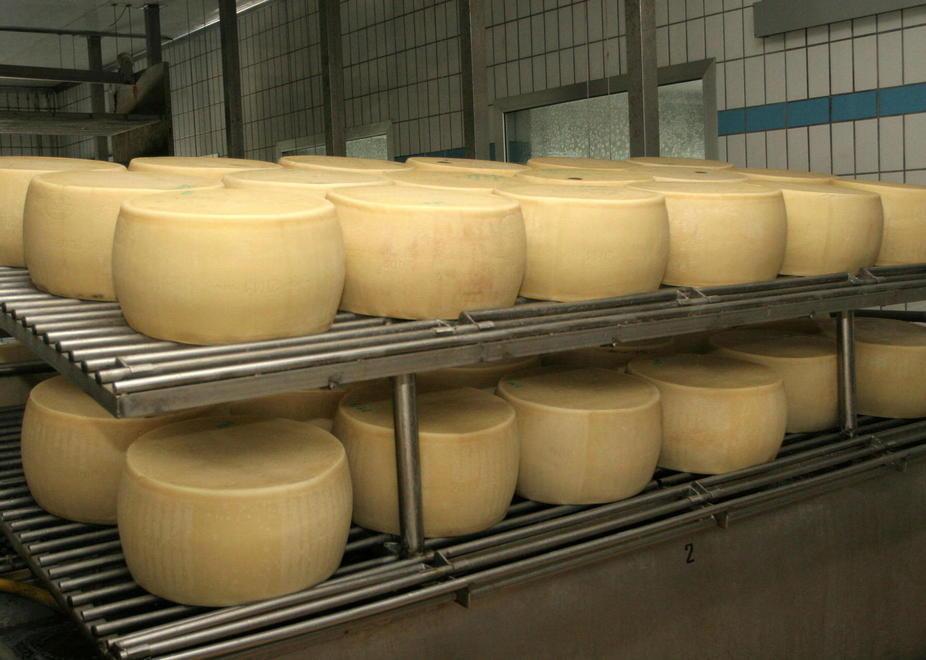 Vendute per 22 milioni le 40 mila forme di Parmigiano Reggiano all’asta 