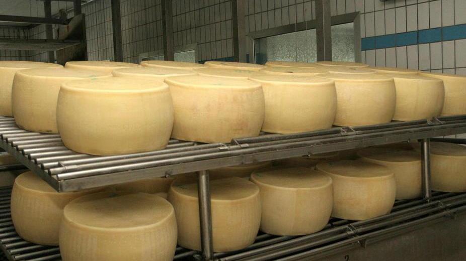 Vendute per 22 milioni le 40 mila forme di Parmigiano Reggiano all’asta