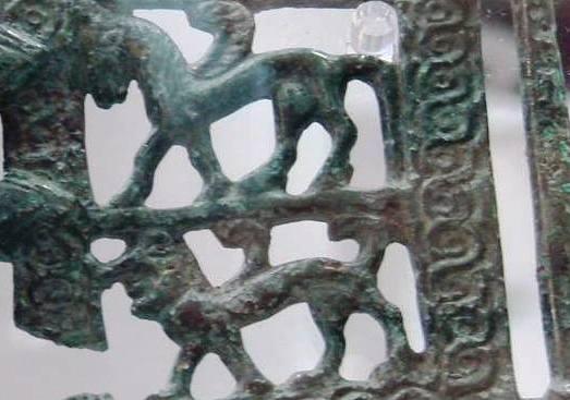 Le bellezze di San Cerbone nell’ #archeozoo italiano