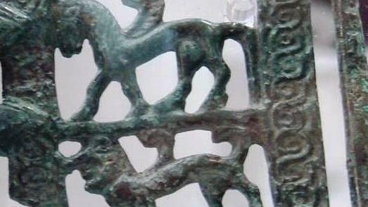 Le bellezze di San Cerbone nell’ #archeozoo italiano