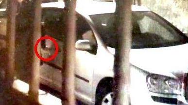 Sporcano l’auto con la pupù mentre la nonna fa il palo