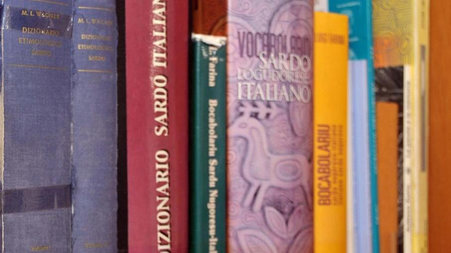 La Regione investe nella limba