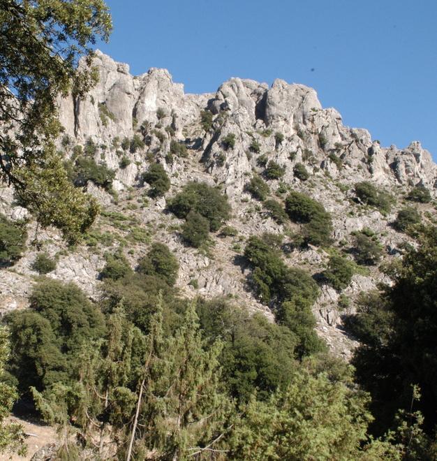 Parco Gennargentu lunedì un convegno della Cisl a Oliena