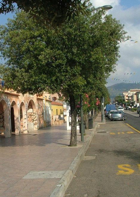 Attacco della minoranza: «Via Gramsci poco sicura»