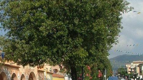 Attacco della minoranza: «Via Gramsci poco sicura»